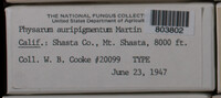 Image Associated With the Occurence